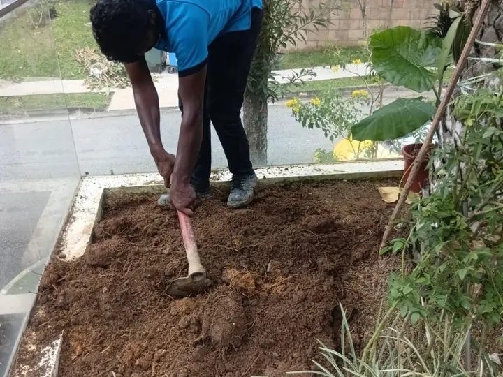 DJR plumber digging into a planter bed to reach a buried water pipe